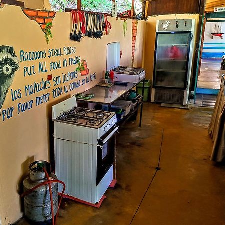 Hostel Plinio مانويل أنطونيو المظهر الخارجي الصورة