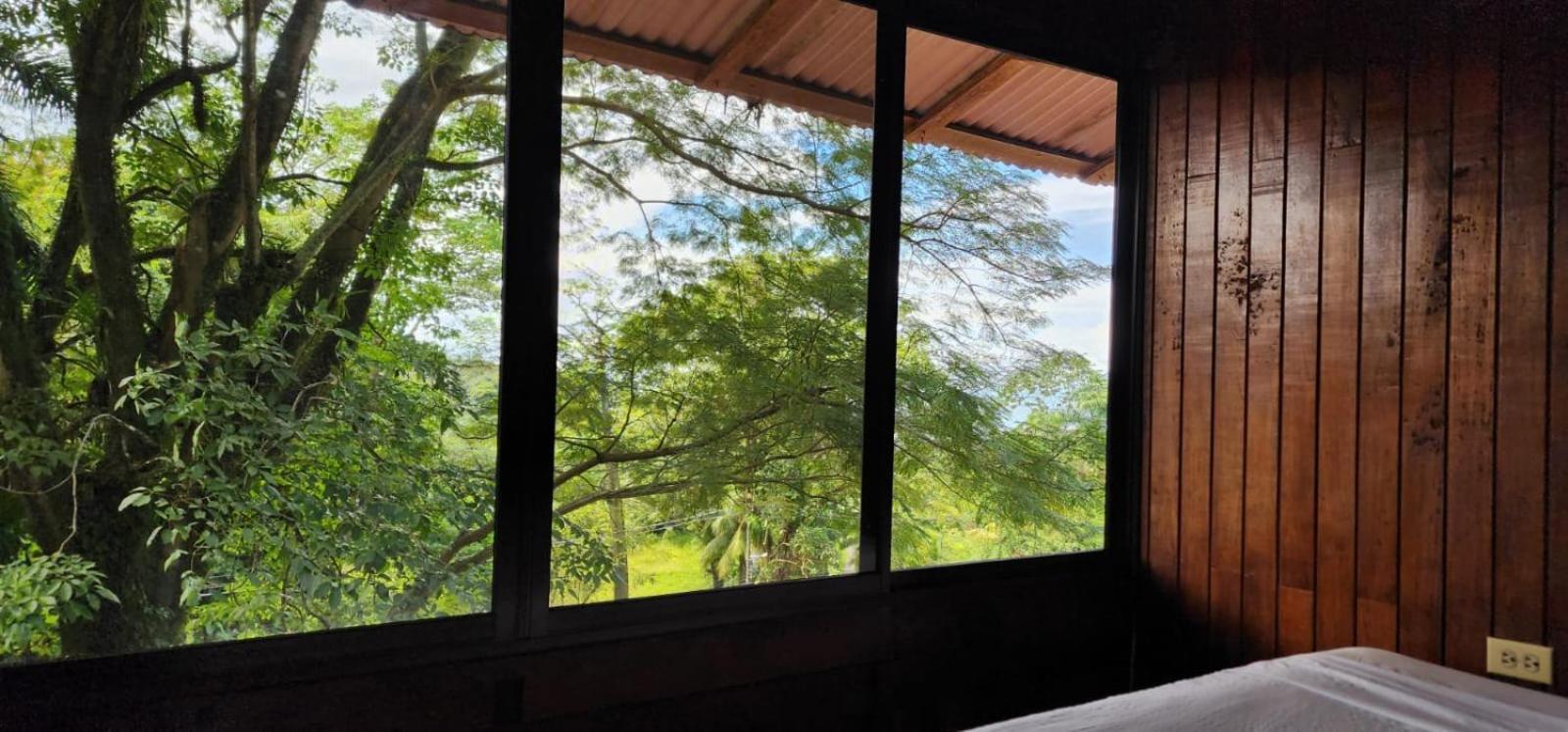 Hostel Plinio مانويل أنطونيو المظهر الخارجي الصورة